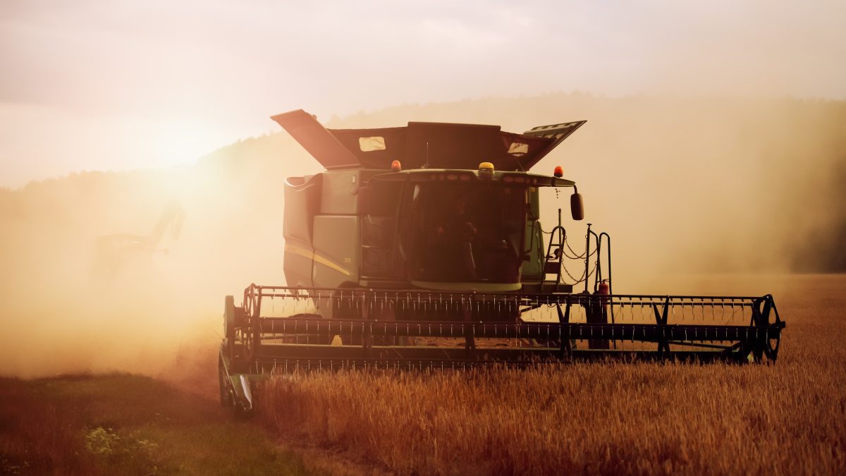 Grain Futures | Saffron Capital | Minneapolis