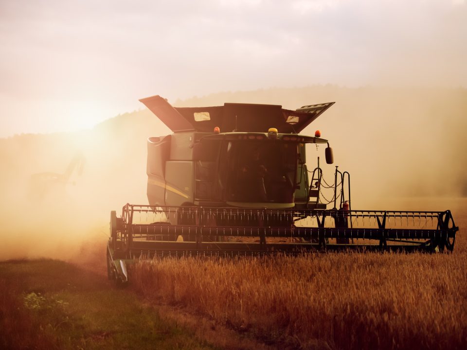 Grain Futures | Saffron Capital | Minneapolis