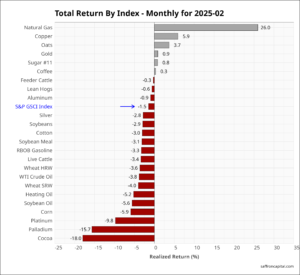 Commodities MTD February returns 2025