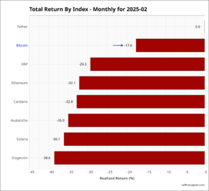 Crypto MTD February returns