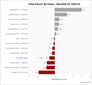 FX MTD February returns