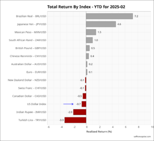 FX YTD February returns