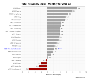 DM equities February returns 2025