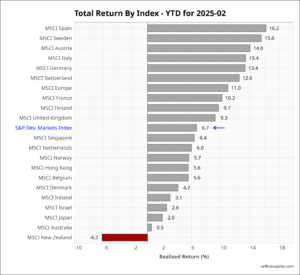 DM equities February returns 2025