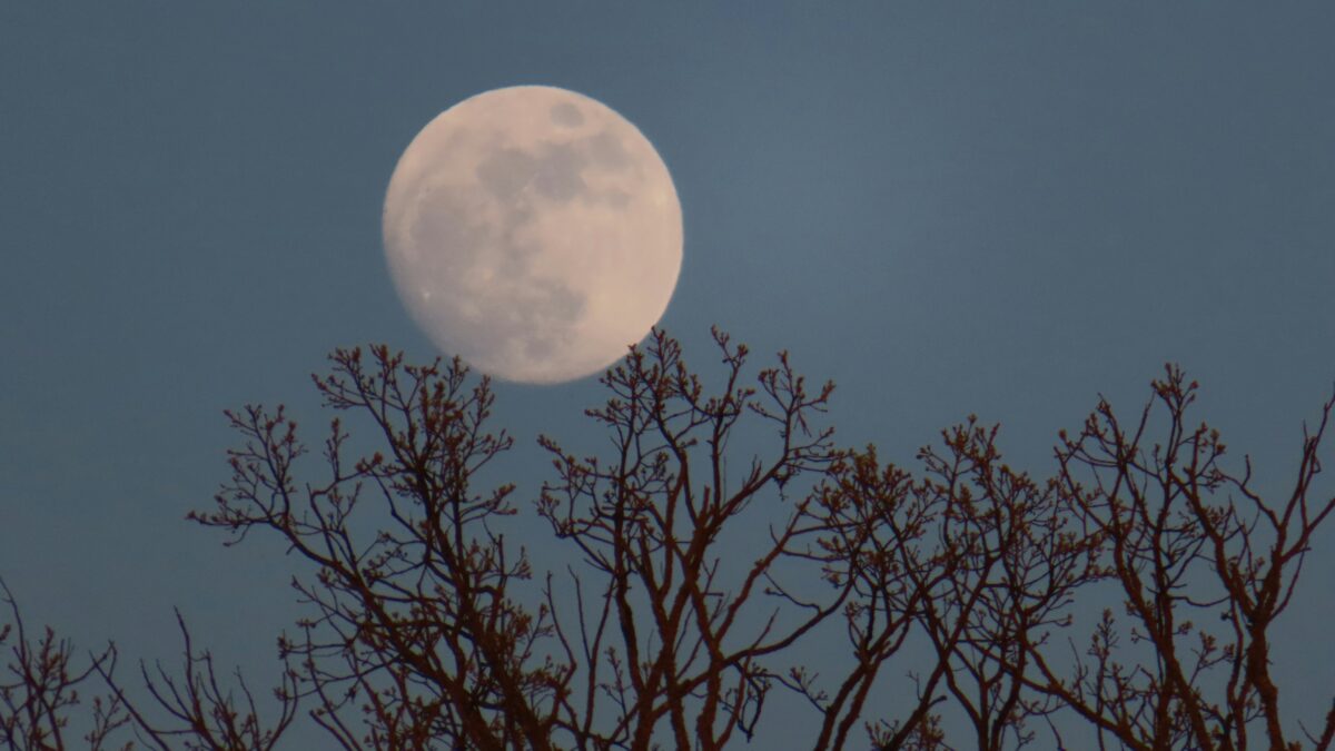 Saffron Capital | Investment Advisors