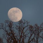 Saffron Capital | Investment Advisors