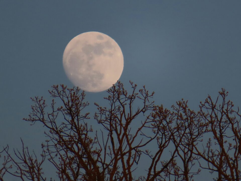 Saffron Capital | Investment Advisors